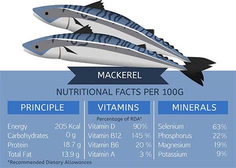 omega 3 mackerel|mackerel omega 3 per 100g.